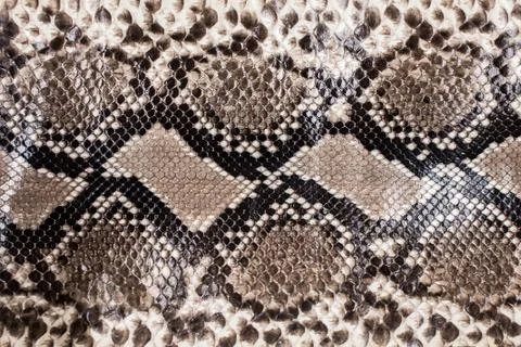 Snake skin pattern background Foto stock