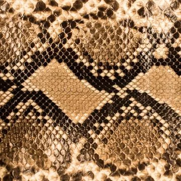 Snake skin pattern background 스톡 사진