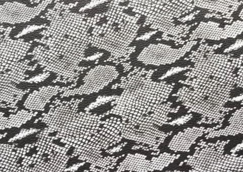 Snake skin pattern background Stock Photos