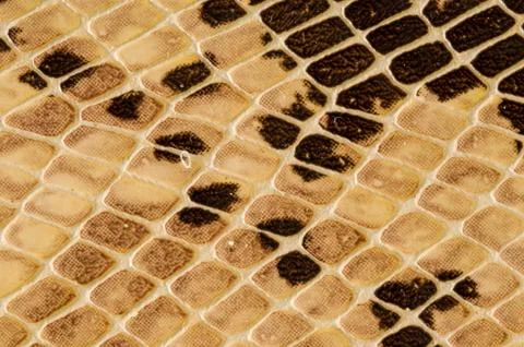 Snake skin pattern background Foto stock