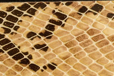 Snake skin pattern background Foto stock