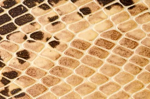 Snake skin pattern background Foto stock