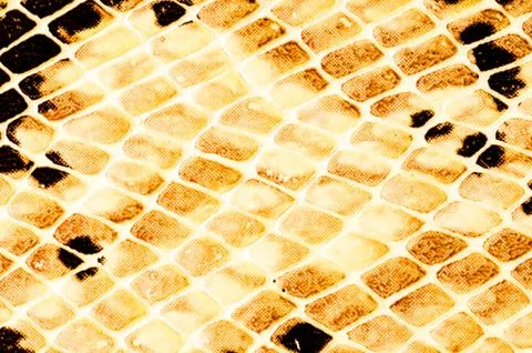 Snake skin pattern background Foto stock