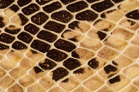 Snake skin pattern background Stock Photos