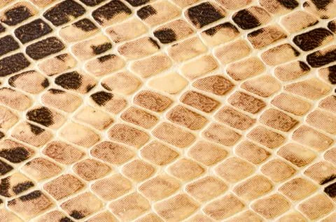 Snake skin pattern background Foto stock