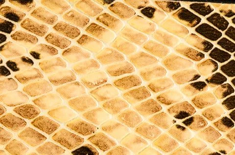 Snake skin pattern background Stock Photos