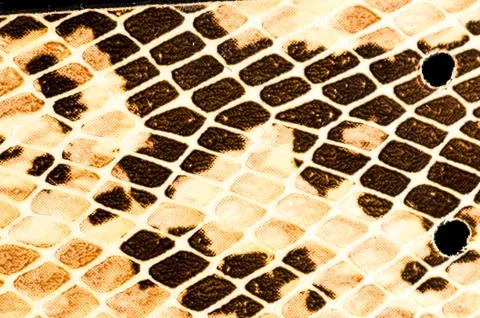 Snake skin pattern background Foto stock