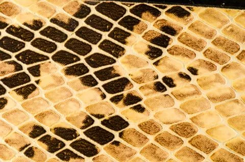 Snake skin pattern background Foto stock