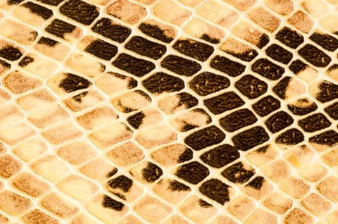 Snake skin pattern background Foto stock