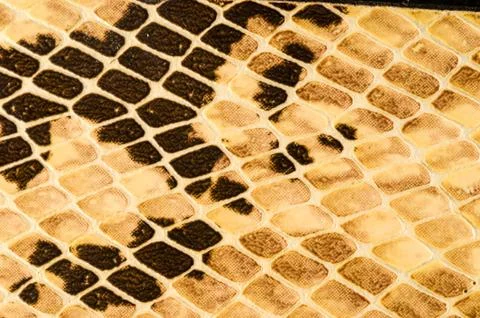 Snake skin pattern background Foto stock