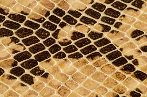 Snake skin pattern background Foto stock