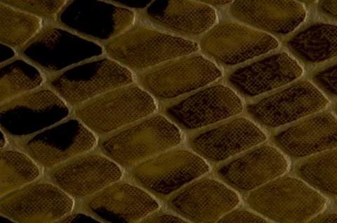 Snake skin pattern background Stock Photos