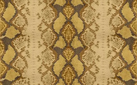Snake skin pattern design, python pattern, piton texture, snake skin, animal ski Stock Illustration