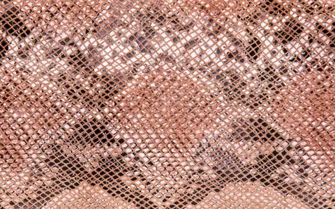 Snake skin pattern Foto stock