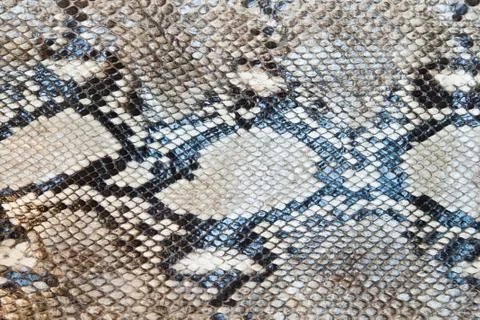 Snake skin pattern texture background Foto stock