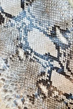 Snake skin pattern texture background Stock Photos