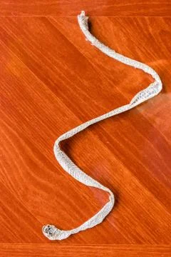 A snake skin Stock Photos