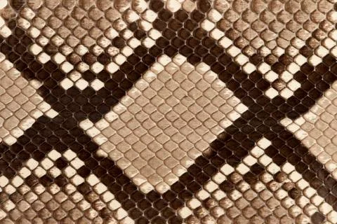 Snake skin Stockfoto's