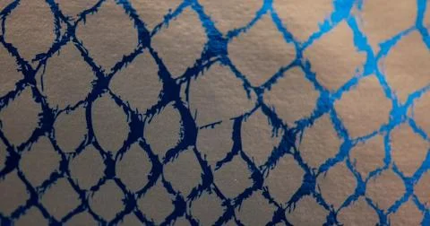 Snake skin 스톡 사진