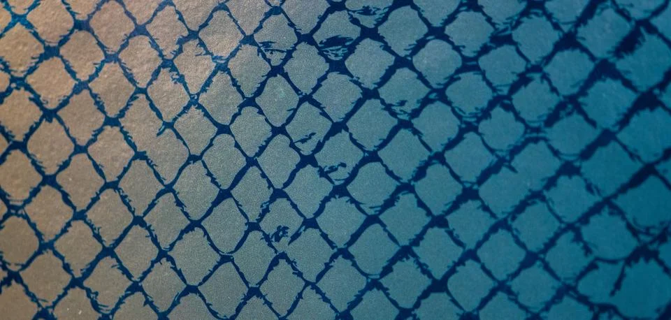 Snake skin 스톡 사진