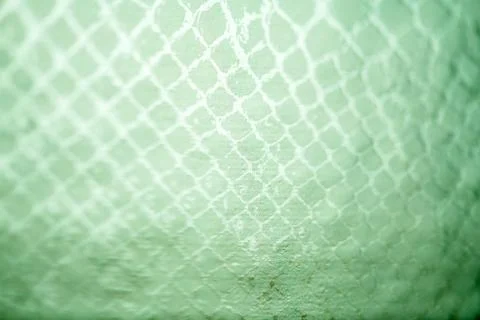 Snake skin Foto stock