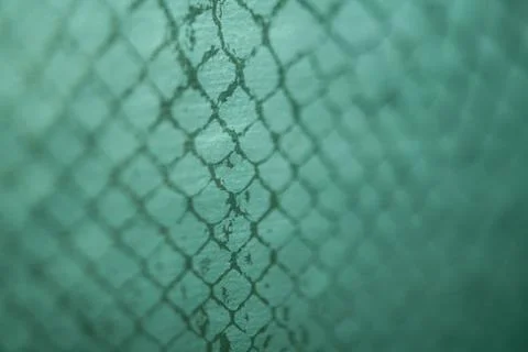 Snake skin Stock Photos