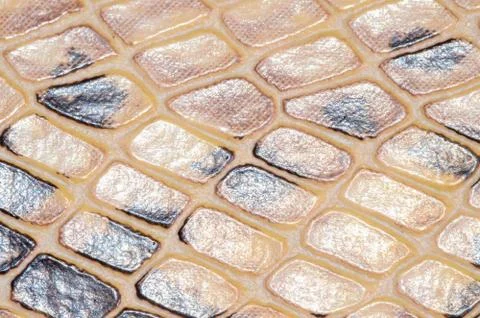 Snake Skin Seamless Pattern Texture 스톡 사진