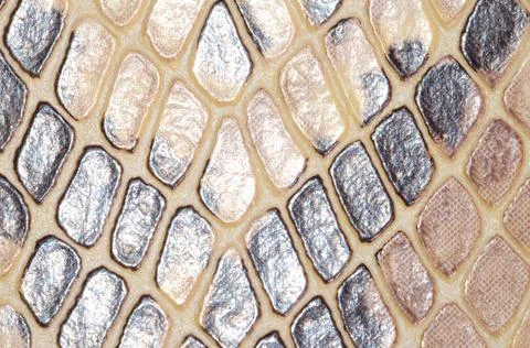 Snake Skin Seamless Pattern Texture 写真素材