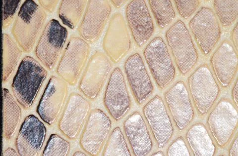 Snake Skin Seamless Pattern Texture , digital photo image Foto stock