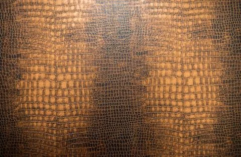 Snake skin texture for background Stock Photos
