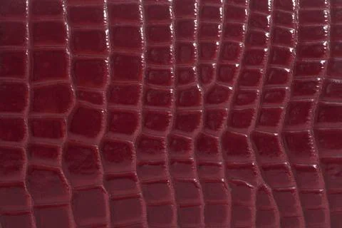 Snake skin texture background 스톡 사진