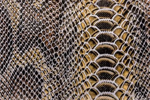 Snake skin texture Stock Photos
