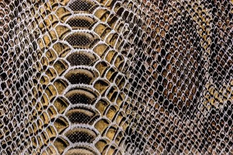 Snake skin texture Stock Photos
