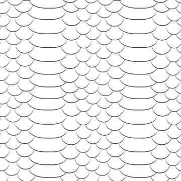 Snake skin texture. Seamless pattern black and white background. 스톡 일러스트