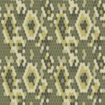 Snake skin texture. Seamless pattern python. Vector Stock Illustration