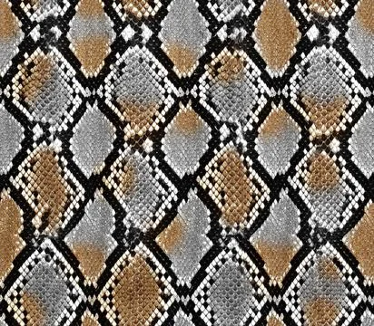 Snake skin texture seamless pattern design 스톡 일러스트