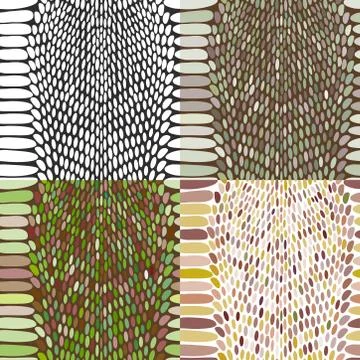Snake skin texture set. Seamless pattern black on white background. Vector 库存插图