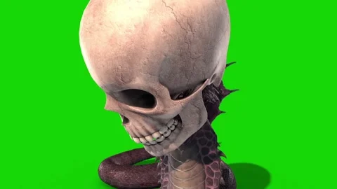 Snake Skull Attacks Green Screen Loop Front 3D Rendering Animation Stock Footage 130374707