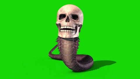 Snake Skull Crawlcycle Green Screen Loop Front 3D Rendering Animation Stock Footage 130374723