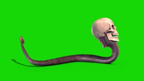 Snake Skull Crawlcycle Green Screen Loop Side 3D Rendering Animation Stock Footage 130374729