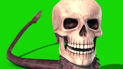 Snake Skull Crawlcycle Green Screen Loop Viper 3D Rendering Animation Stock Footage 130374747