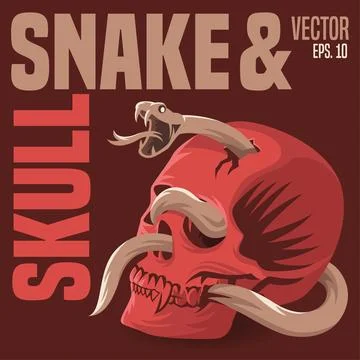 Snake Skull Illustration Illustrazione stock