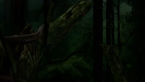 Snake slither in jungle. Stock Footage 151759346