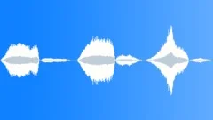 SNAKE Sound Effect
