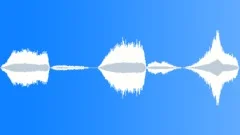 SNAKESound Effect