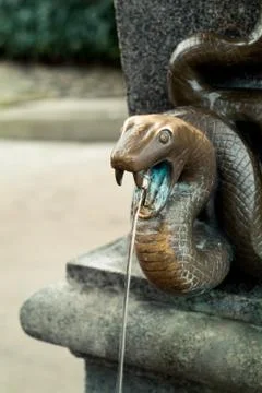 Snake spring Stock Photos