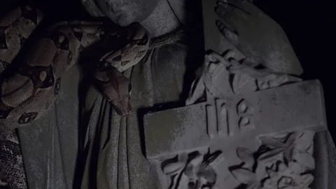 Snake on Statue Stock-Footage 88390794
