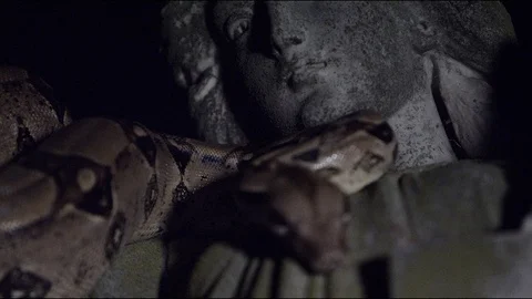 Snake on statue rack focus Vídeo Stock 88791521