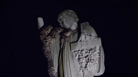 Snake on statue wide shot Vídeo Stock 88790655