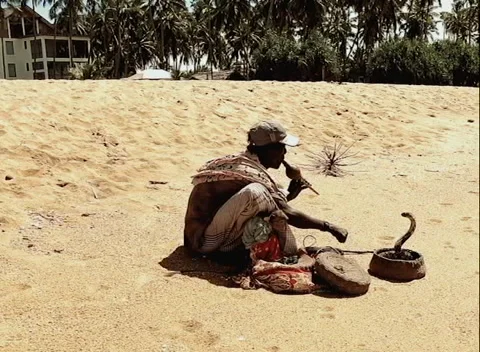 Snake tamer on the island Stock Footage 144533526